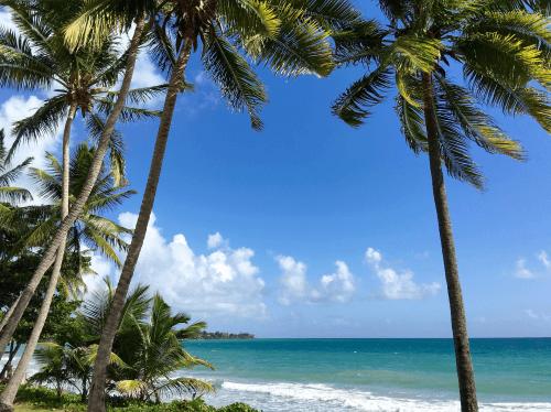 Kis-Antillák: a karibi álomvilág - Guadeloupe, Martinique, Pointe-à-Pitre, Saint-Barthélemy